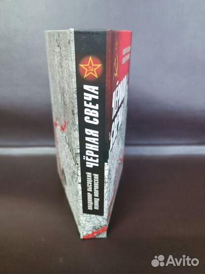 Черная свеча. Высоцкий, Мончинский. Книга