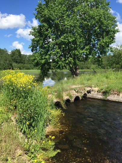 Дача 30 м² на участке 10,5 сот.