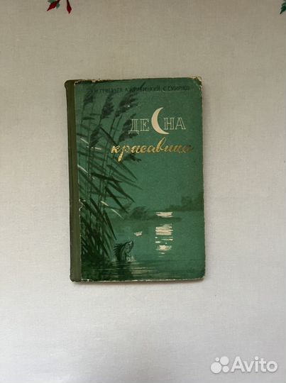 Десна красавица