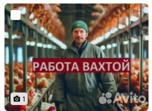 Разнорабочий вахта на птицефабрику