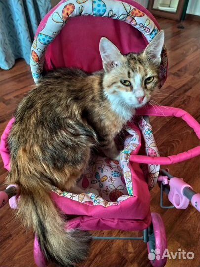 Коляска для кукол котов собачек