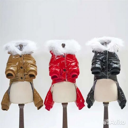 Комбинезон для маленькой собаки. Размер L