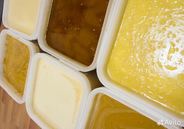 2024 Мед натуральный с Алтая опт