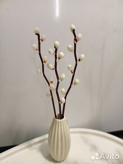 Верба из стекла