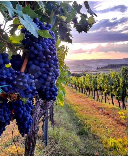 Участок 2 га (ИЖС)