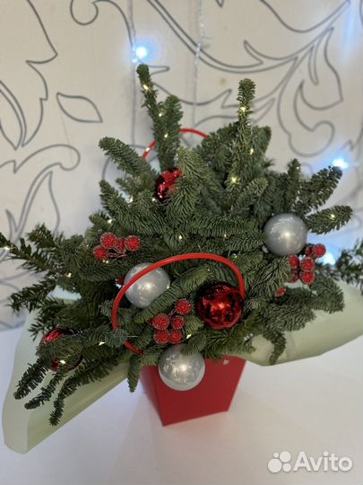 Композиции из нобилиса