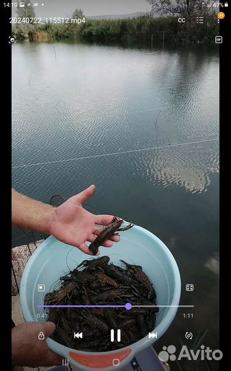 Живые Раки опт,розница