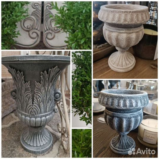 Вазон кашпо самшит саженец
