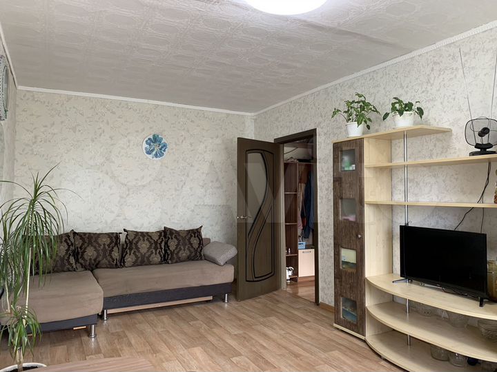 2-к. квартира, 54,8 м², 2/3 эт.