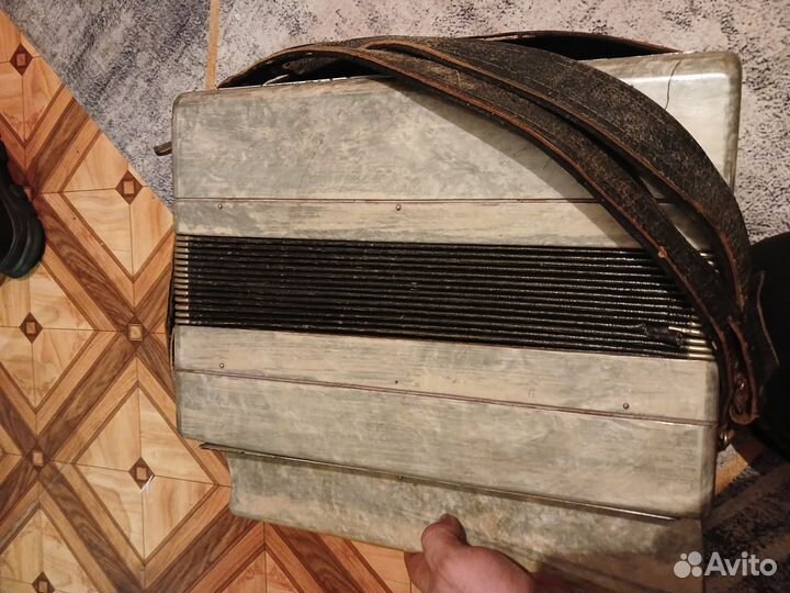 Баян тульский