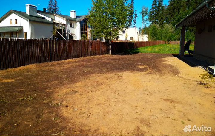 Рулонный газон с укладкой и гарантией