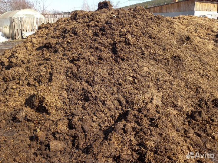 Торфогрунт