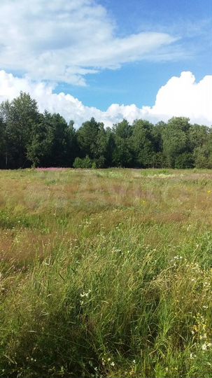 Участок 17 сот. (ИЖС)