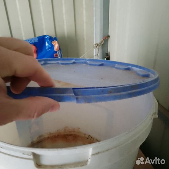 Поилки для кур