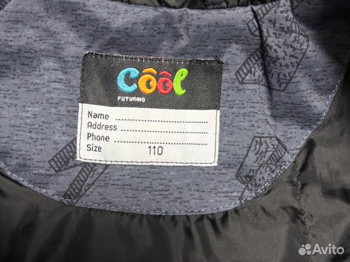 Куртка демисезонная для мальчика 110