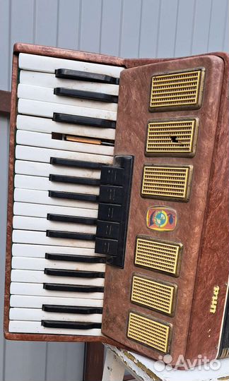 Аккордеон
