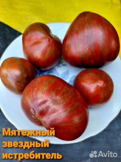 Семена коллекционных сортов томата