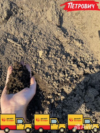 Сеянный чернозём