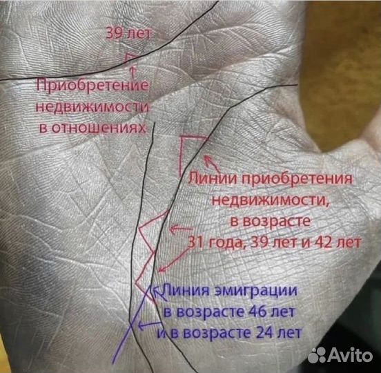 Хиромантия,таро,обучение,искусство