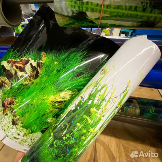 Фоны для аквариума