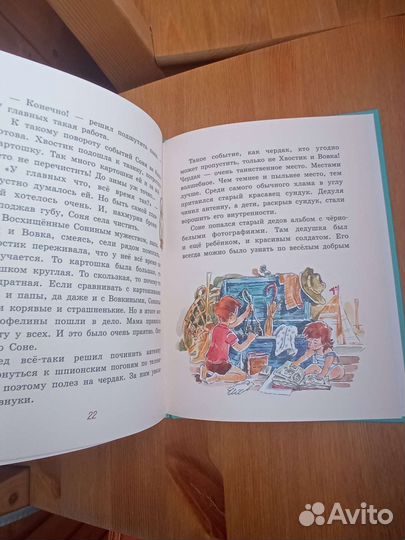 Книга для детей. Лунный жук. Анна Доброчасова