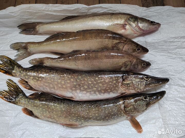 Продукты питания