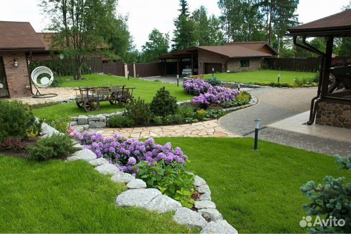 Рулонный газон 