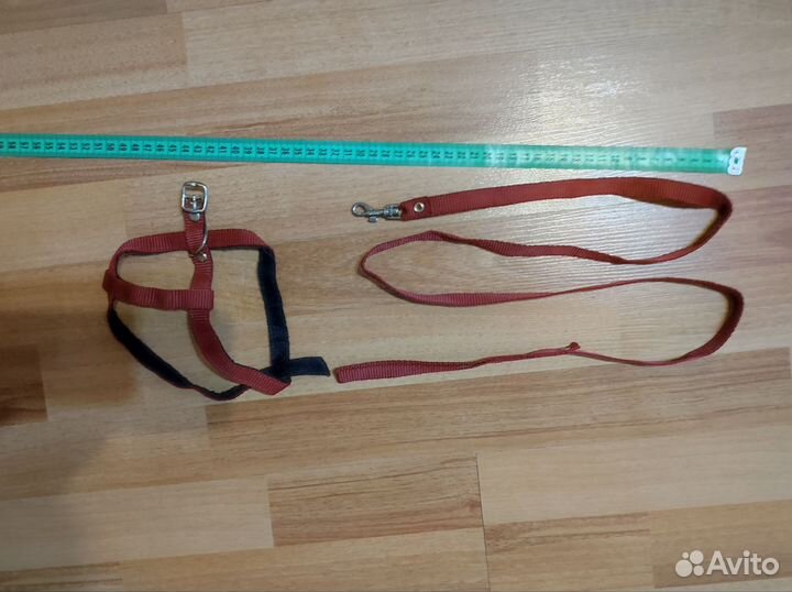 Шлейки, ошейники, поводки