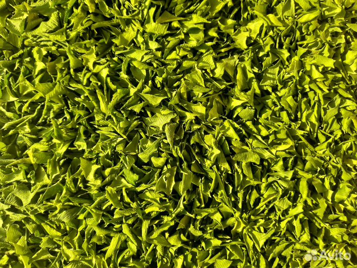 Гингко Билоба для Вашего Сада