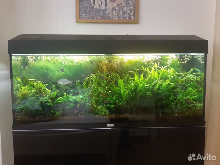 Аквариум 240л. с тумбой