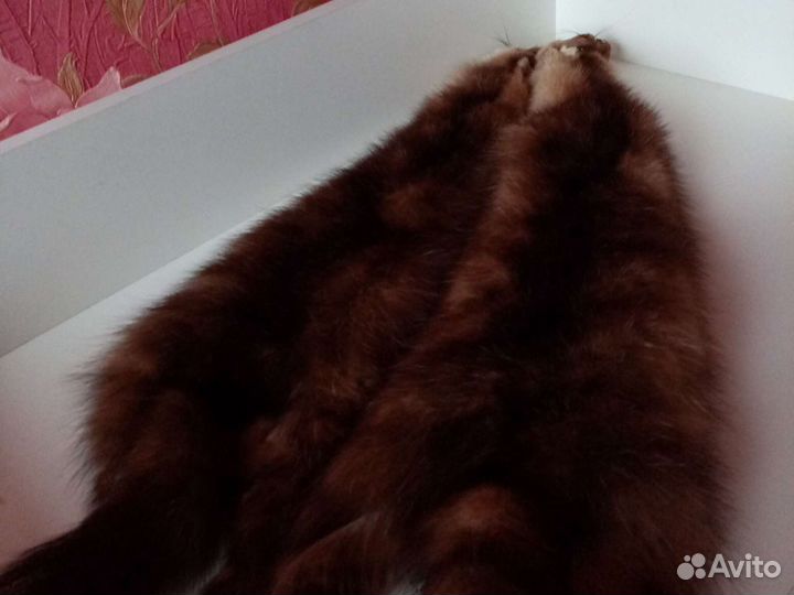 Шкурки соболя