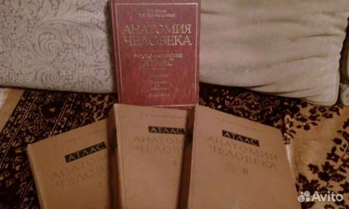 Атлас Синельникова