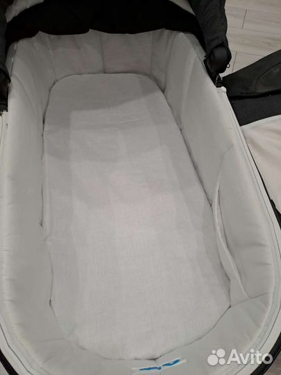 Коляска 2 в 1 adamex