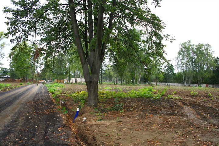 Участок 6,9 сот. (ИЖС)