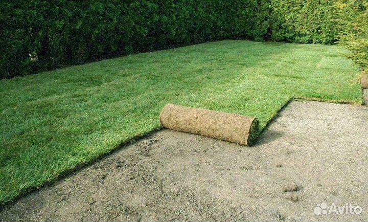 Рулонные газоны