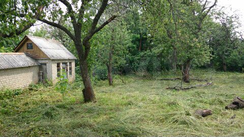 Дом 51 м² на участке 39 сот.