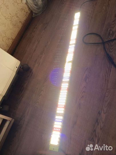 Quantum bar samsung lm301b