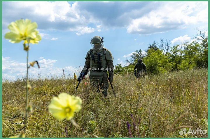 Миноискатель, Металлоискатель Alfamarine 5000