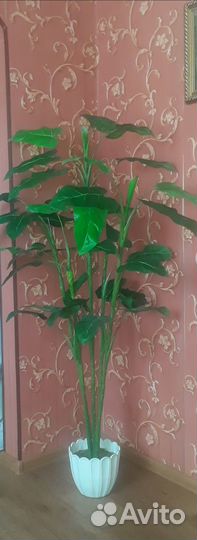 Искусственное растение