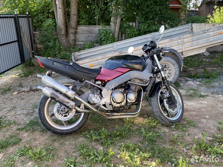 Кавасаки хантус
