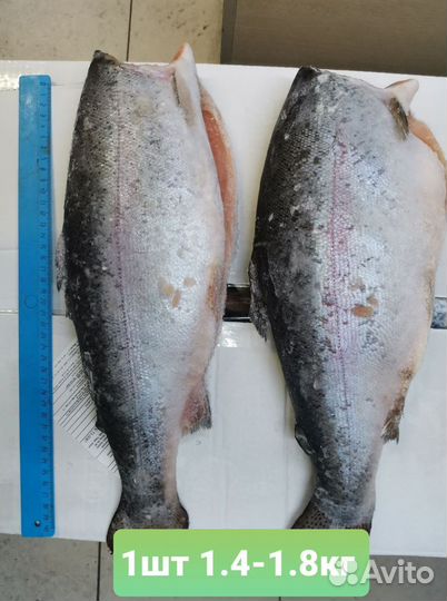 Рыба свежемороженая с доставкой на дом