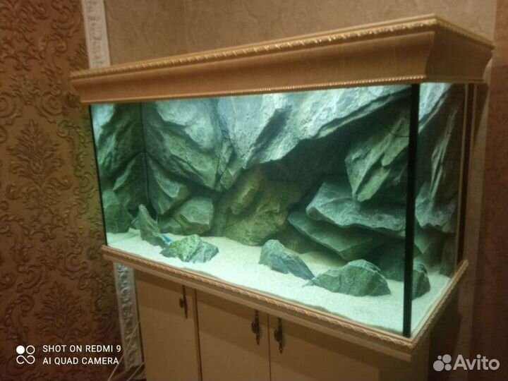Аквариум