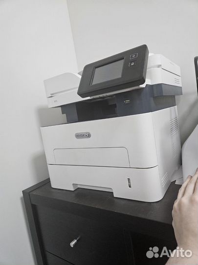 Принтер лазерный мфу xerox b215