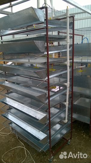 Клетка для перепелов на 50 птиц