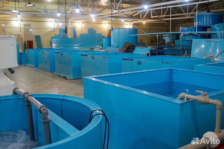 Модули для передержки морепродуктов