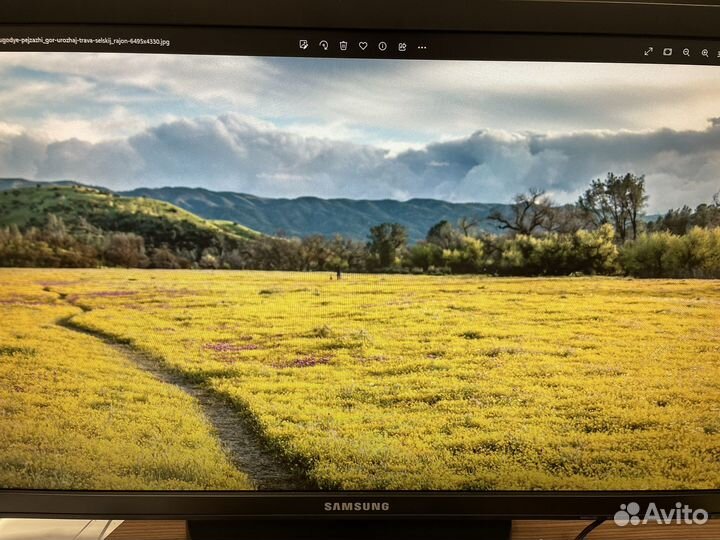 Монитор samsung 24 отличное состояние