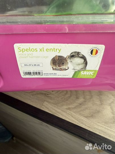 Клетка для грызунов с приданным