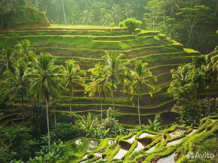 Экскурсия — Бали — Все грани сказочного Бали за 2