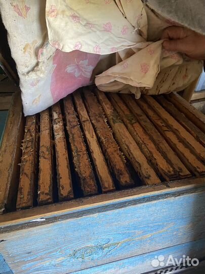 Ульи для пчел бу