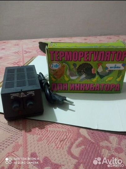 Терморегулятор для инкубатора